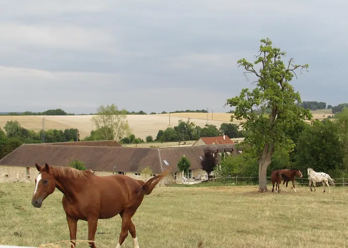 Luxury Next To Eiffel Tower In The Center Of - Frühstückspension 4*