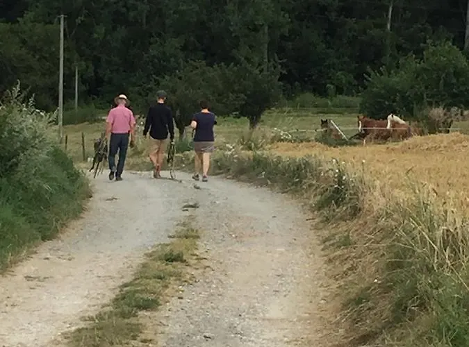 Luxury Next To Eiffel Tower In The Center Of - 4*